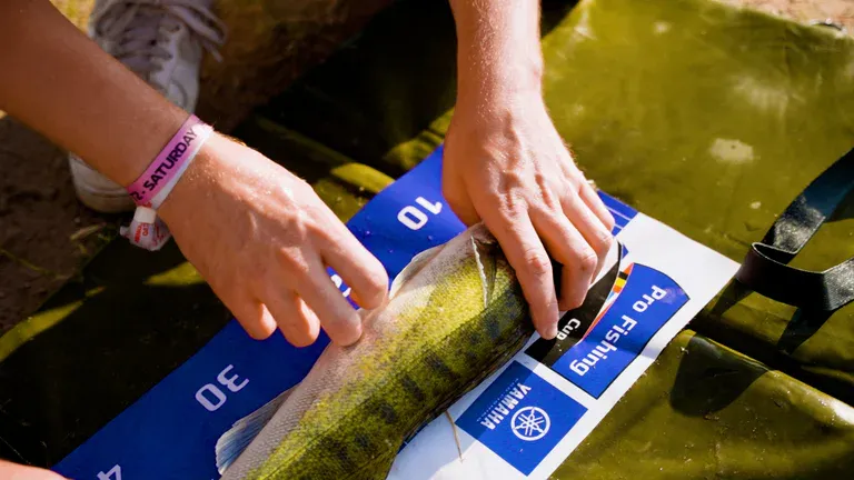 imgi 61 fishing cup