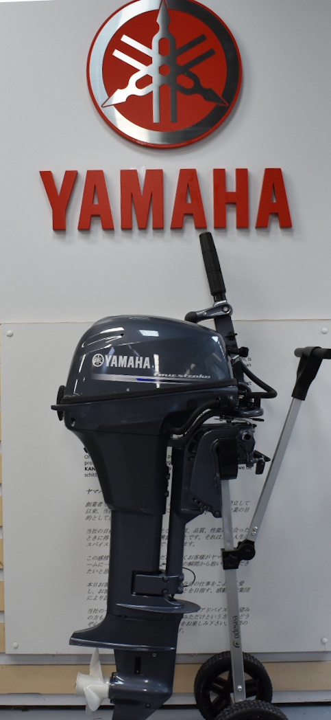Yamaha F6DMHS 1 Yamaha F6DMHS